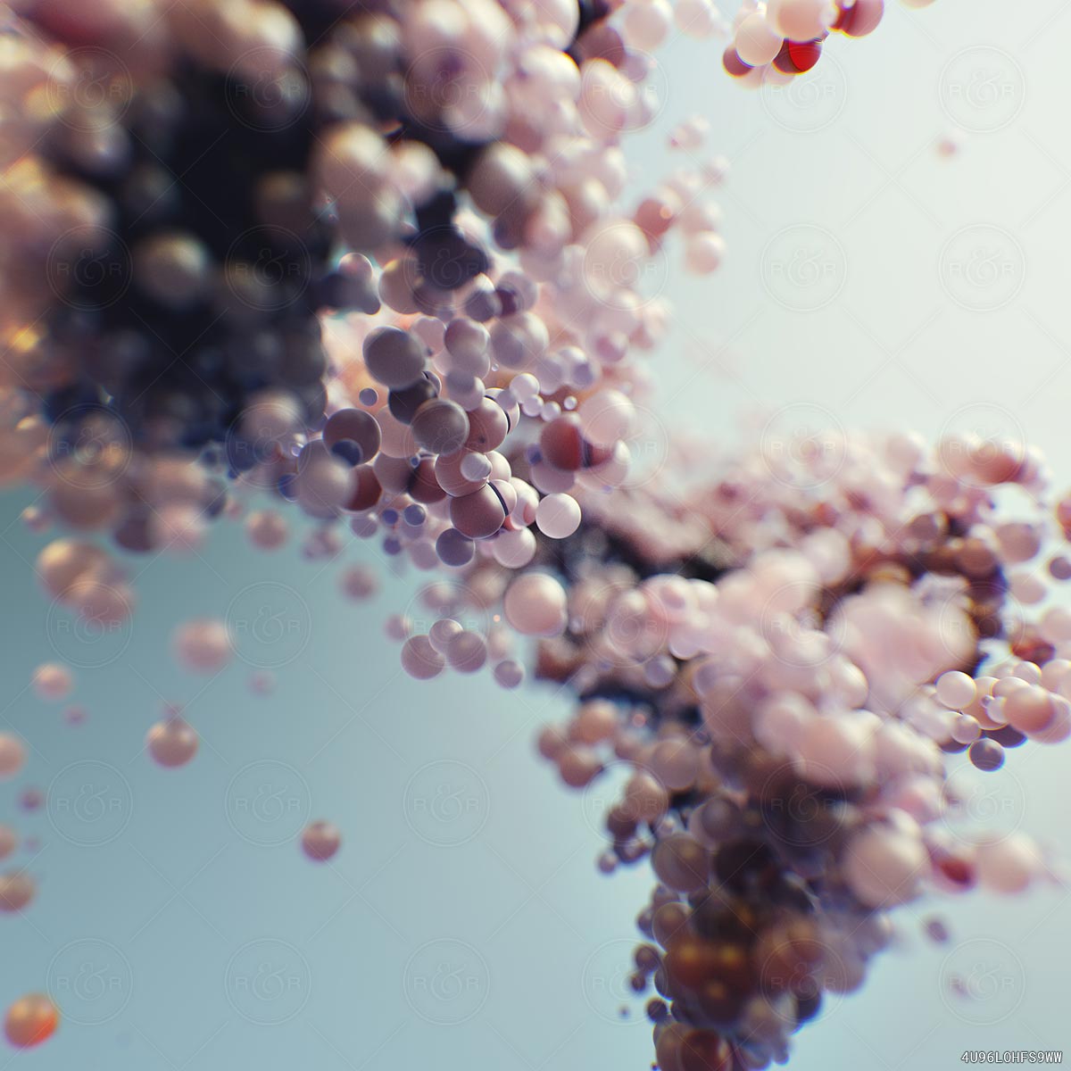 Granular by Raw & Rendered