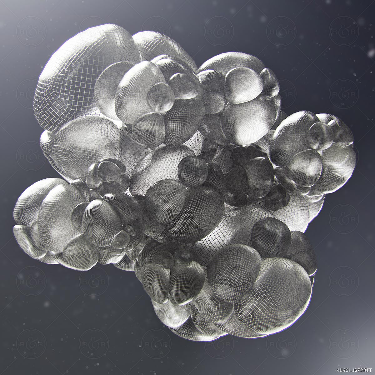 Bubblicious by Raw & Rendered