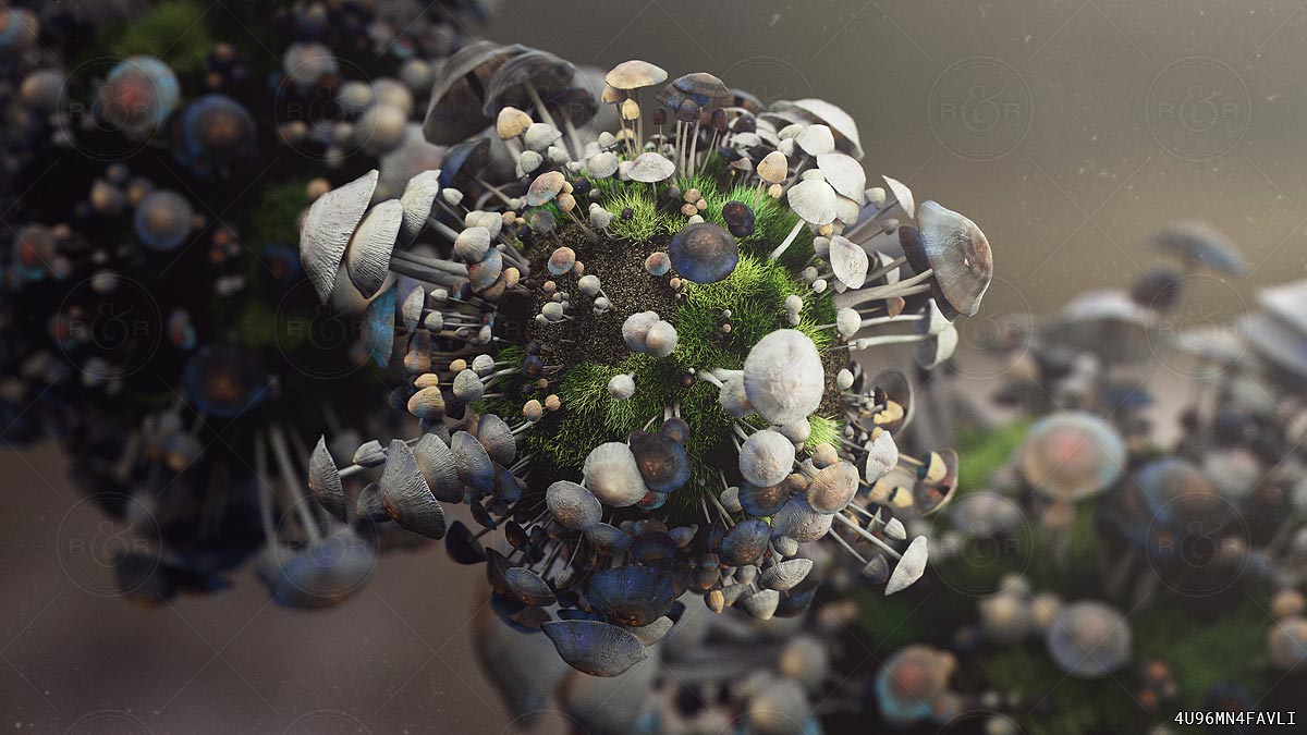 Porous by Raw & Rendered