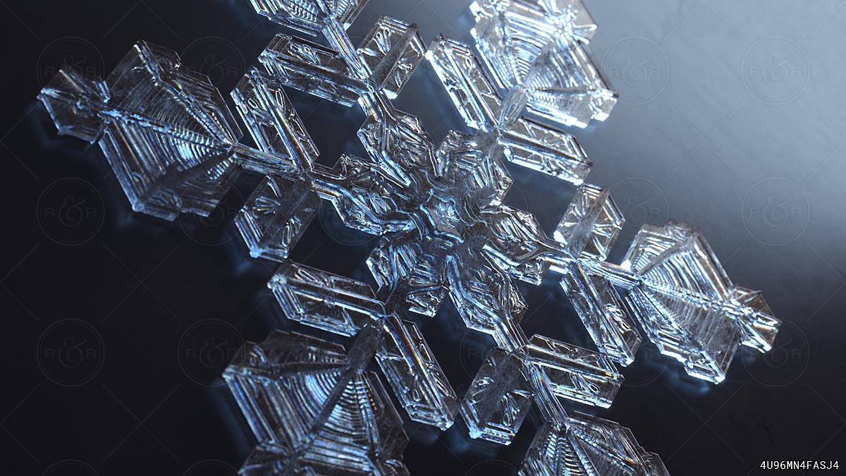 Crystalize by Raw & Rendered