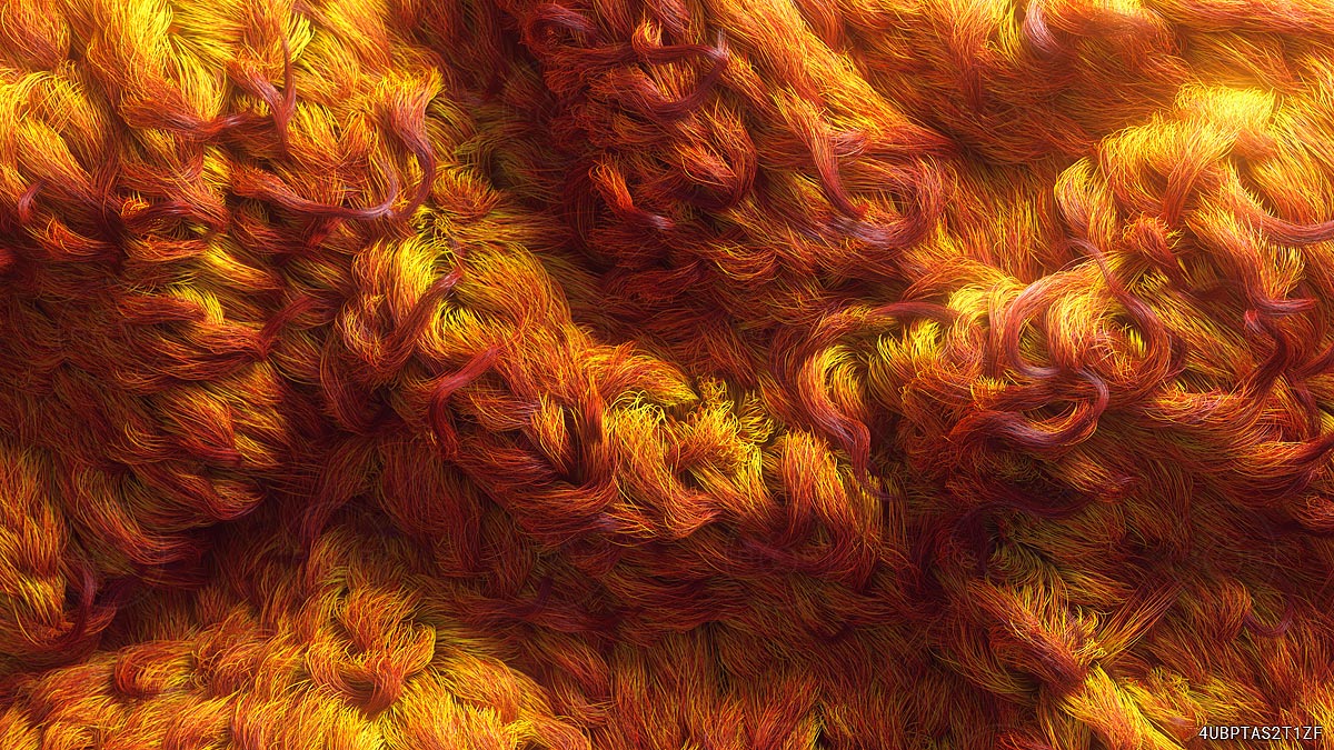 Braided Fire Fur by Raw & Rendered