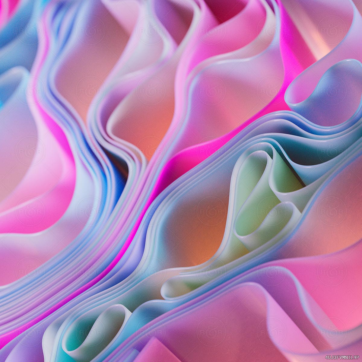 Neural Flows – Raw & Rendered