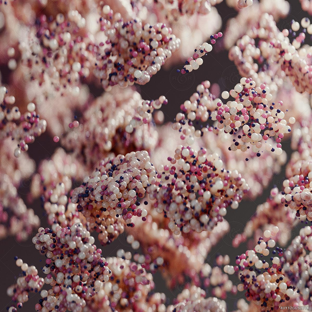 Soft Cluster by Raw & Rendered