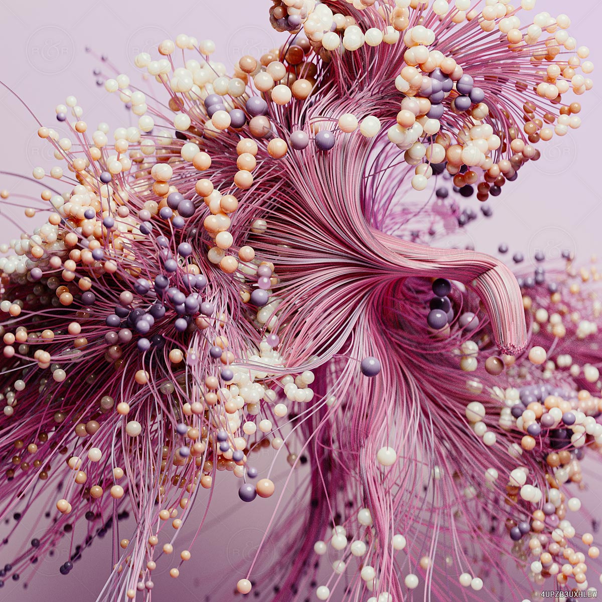 Pink Flamenco by Raw & Rendered