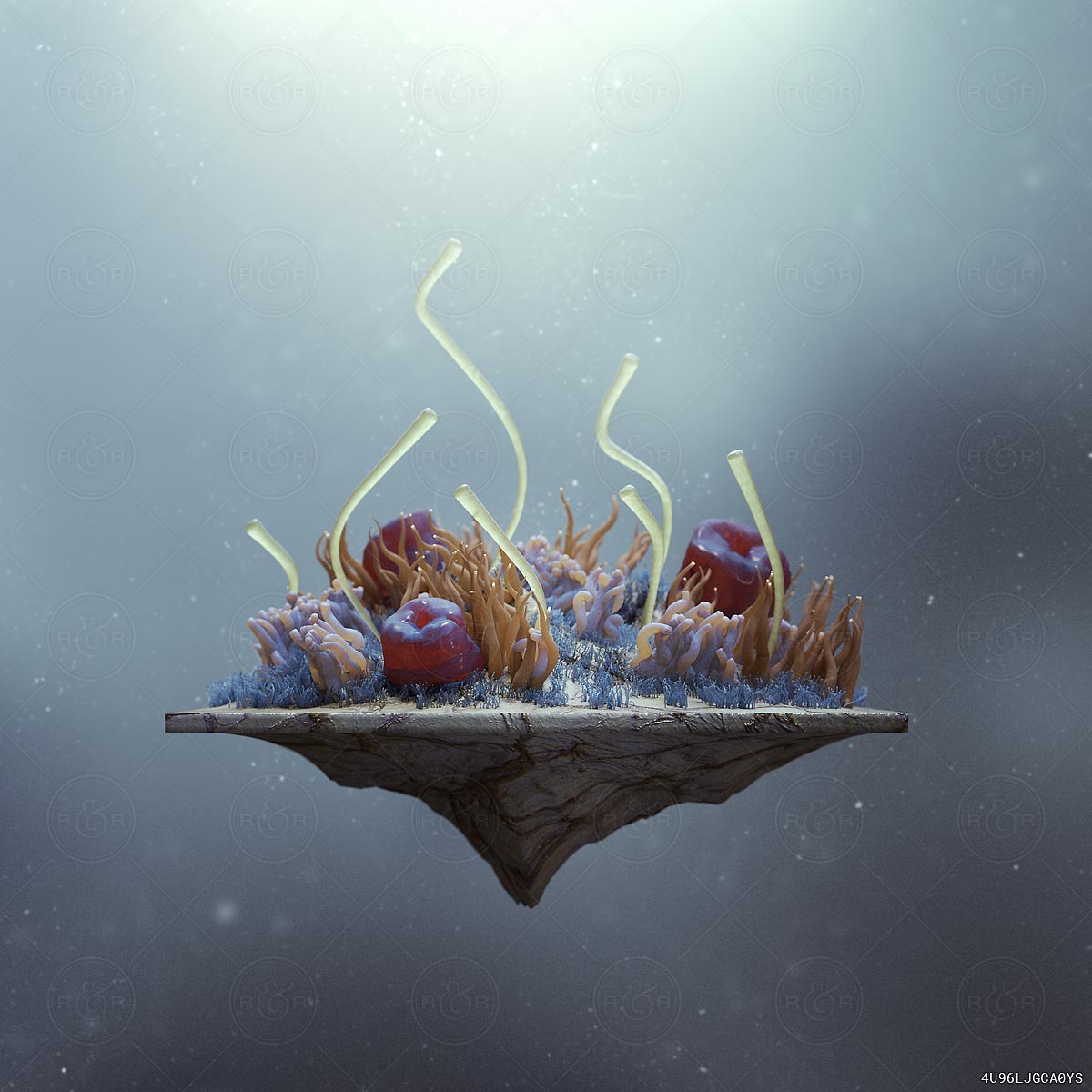 Urchin Island by Raw & Rendered